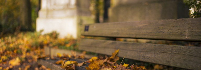 Parkbank mit Herbstlaub