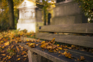 Parkbank mit Herbstlaub